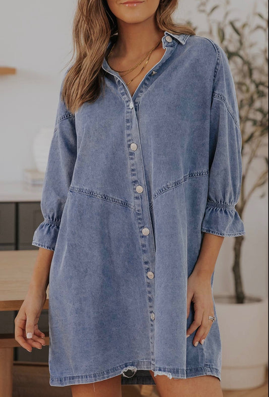 Emerson Button-Up Denim Dress