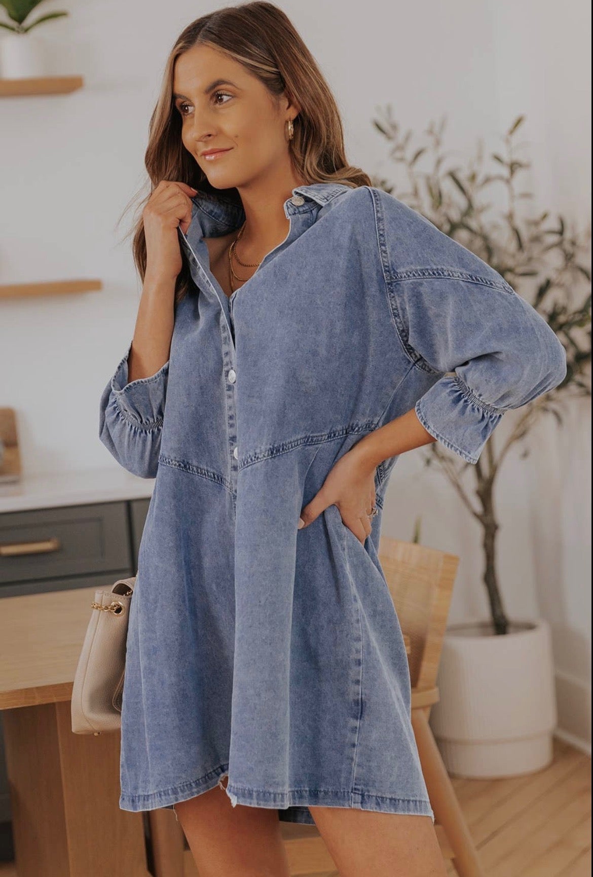 Emerson Button-Up Denim Dress