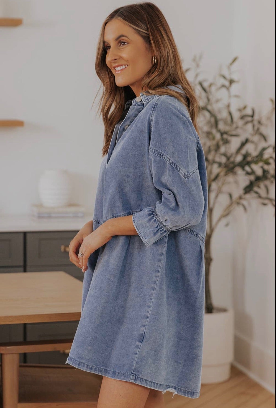 Emerson Button-Up Denim Dress