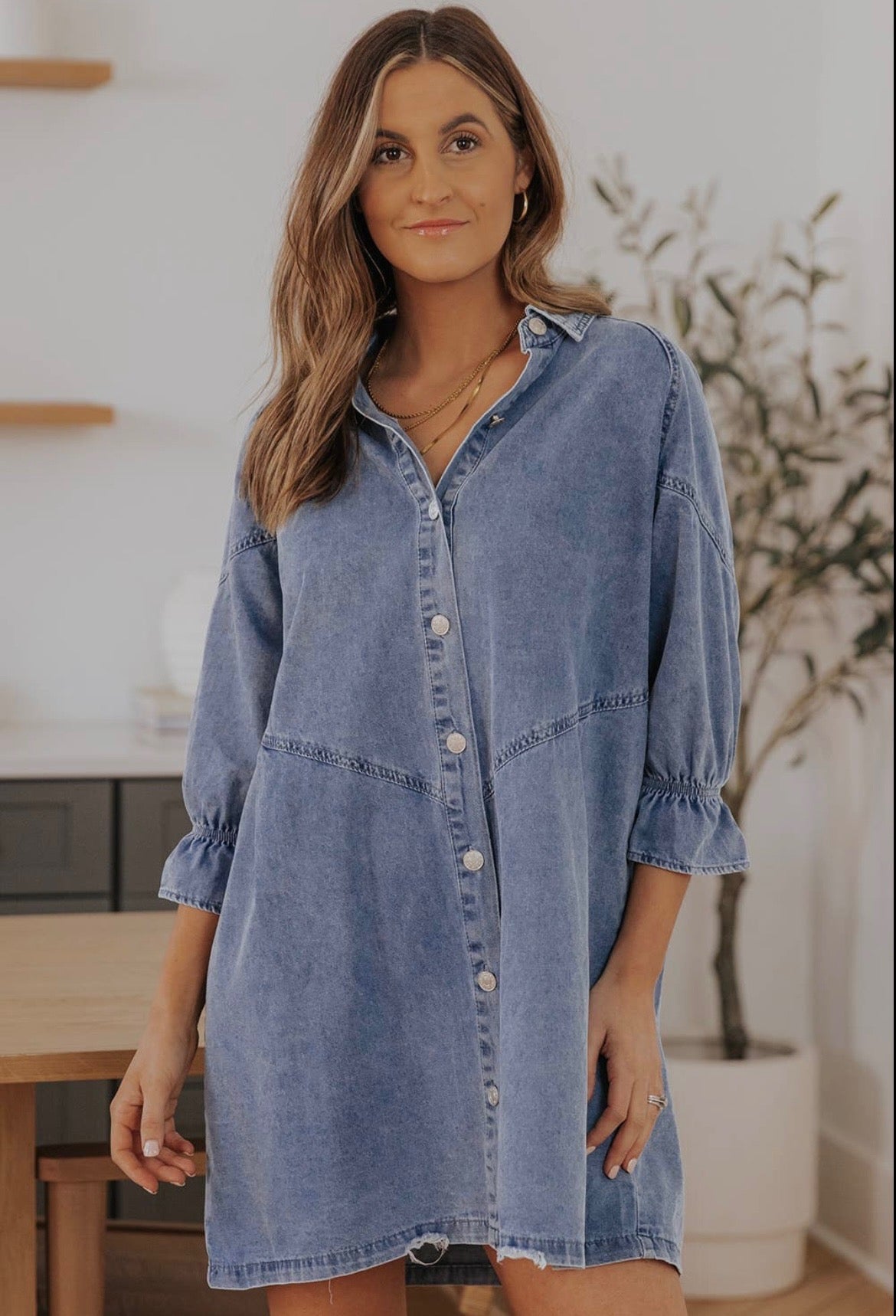 Emerson Button-Up Denim Dress