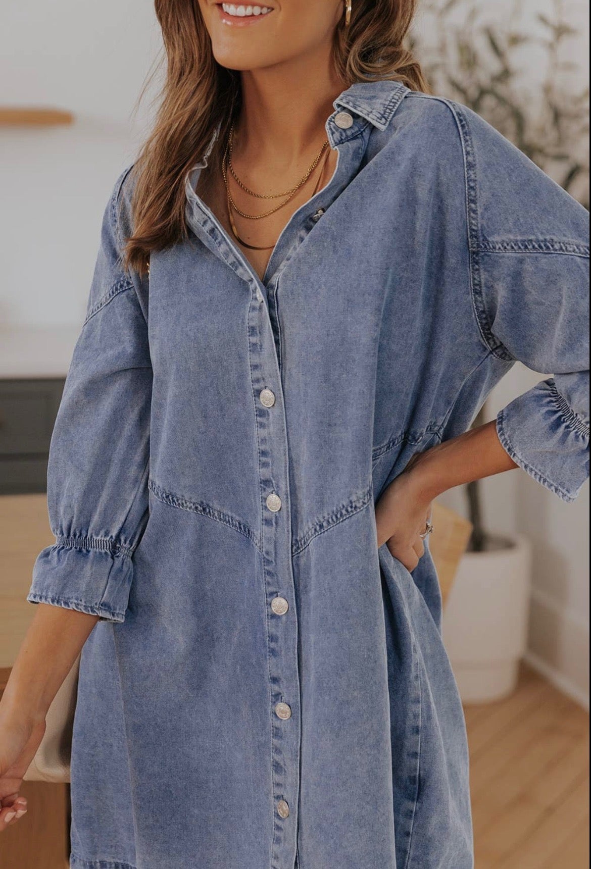 Emerson Button-Up Denim Dress